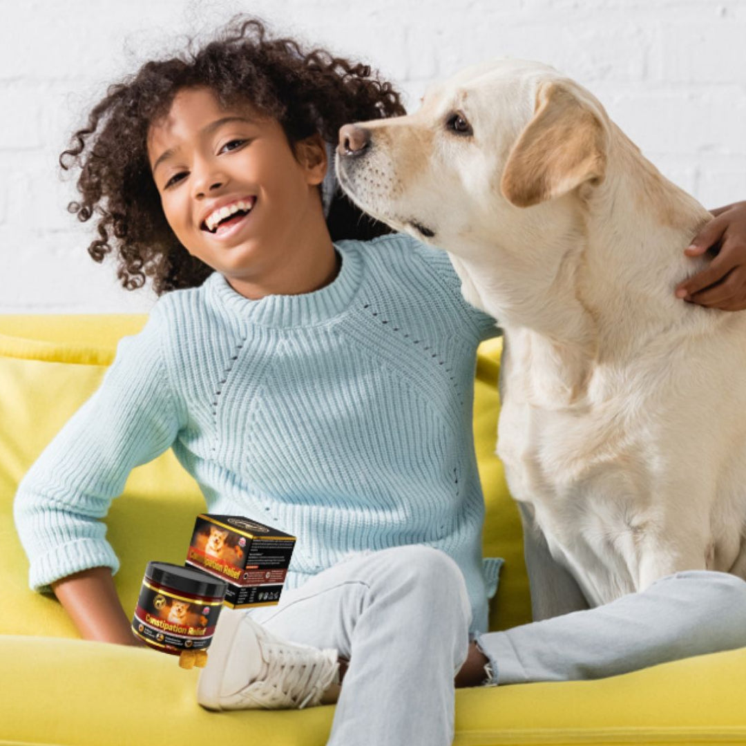 Interesting facts about dog constipation 🐶💩