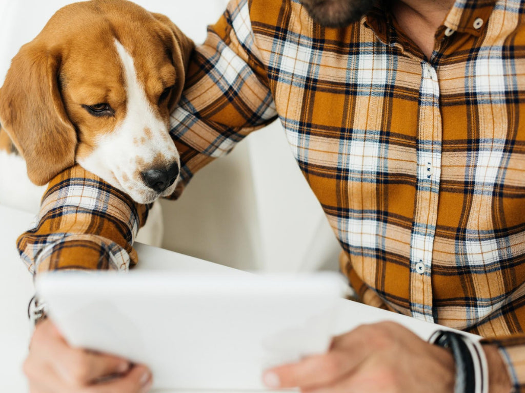 Helping alleviate dog diarrhea