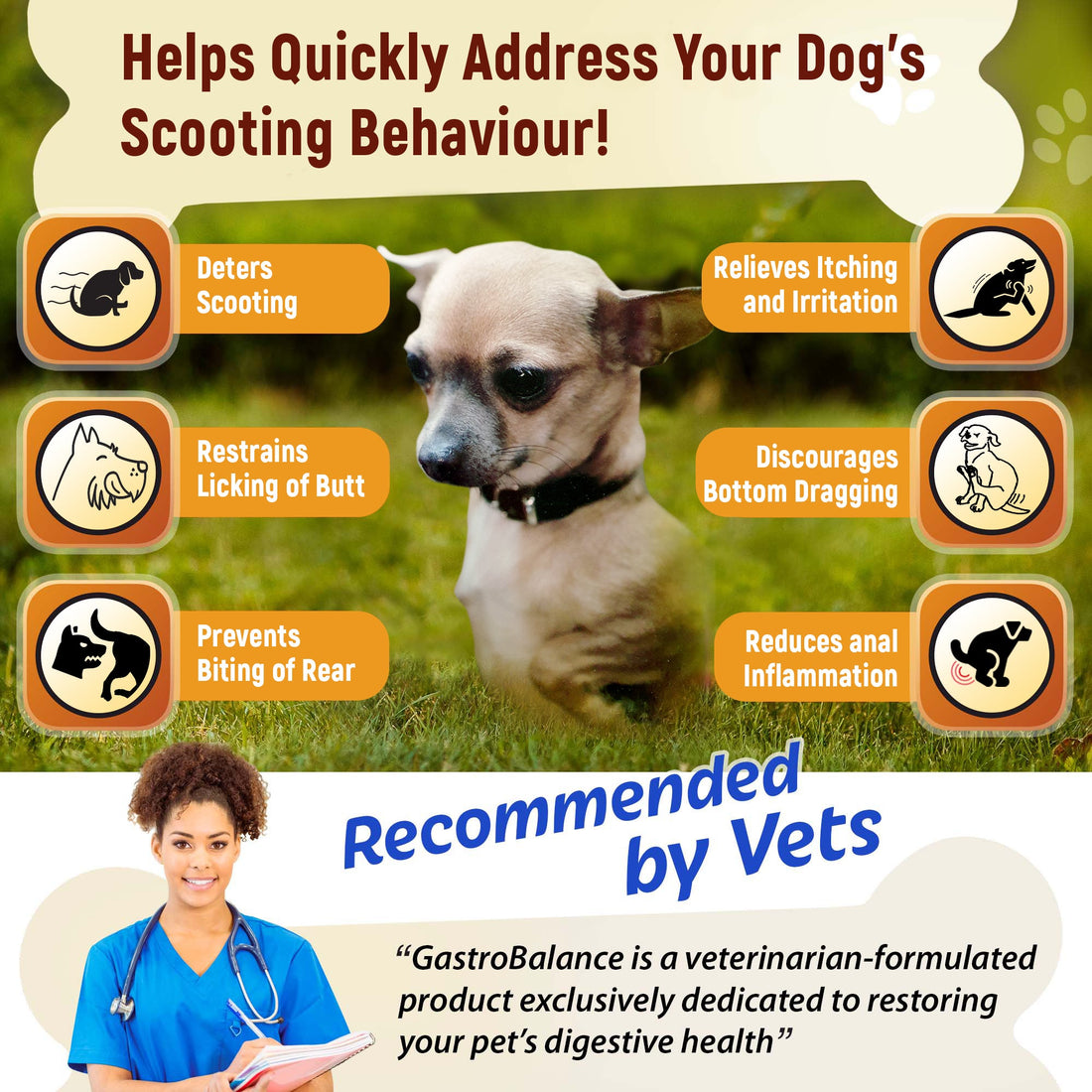 How can you prevent puppy scooting ?