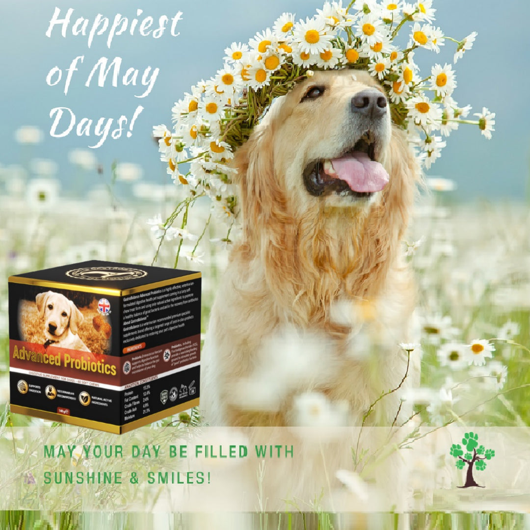 May, more than any other month of year, wants us to feel most alive!