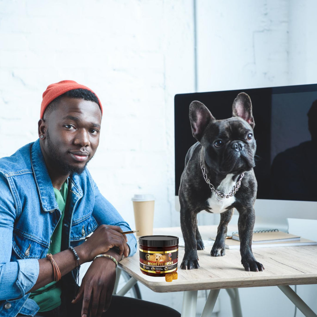 Probiotics for Dogs: Benefits, Uses, and Tips for a Healthy Gut