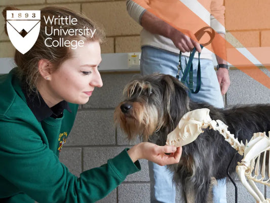 Put Vet Science into Practice