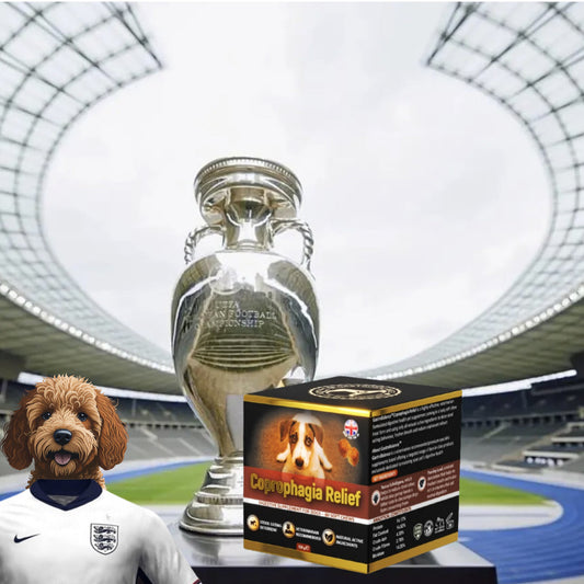 Another TOP 10 football-and-dog jokes just for fun!