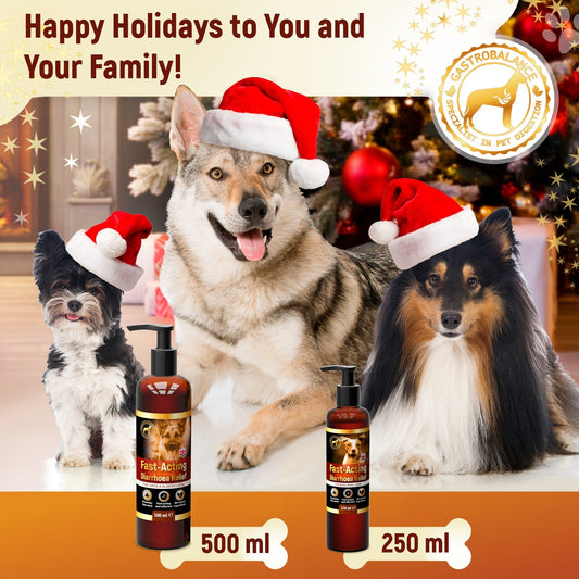 Happy New Year 2026 to You and your lovely dog !