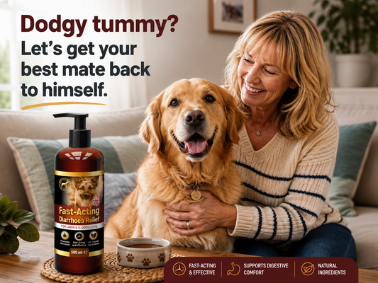 A little help for dog unsettled tummies