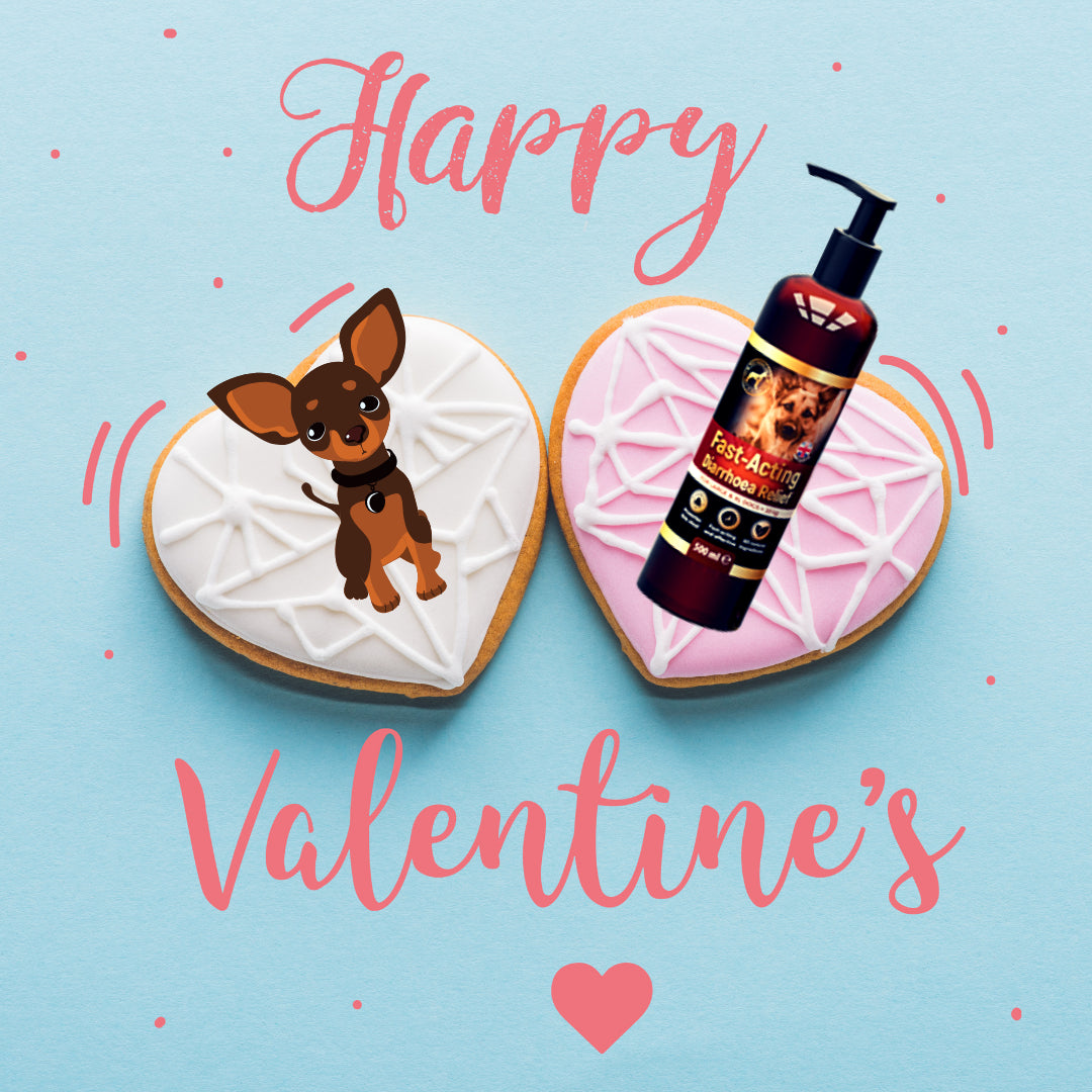 Happy Valentine to your lovely dog ! 😀❤️🐕