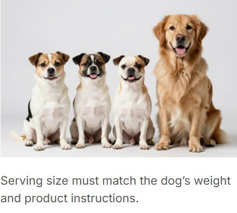 How to Choose a Digestive Chew Your Dog Will Actually Benefit From