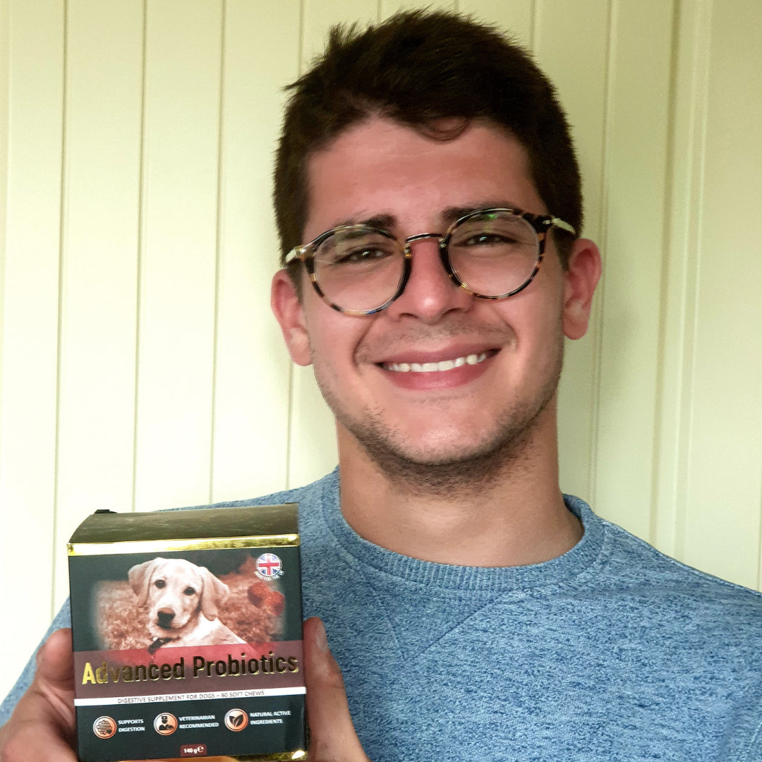 Best Dog Digestive Supplements: Happy Tummies, Happy Tails