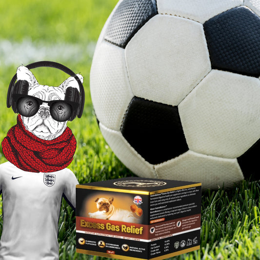 TOP 10 football-and-dog jokes just for fun!