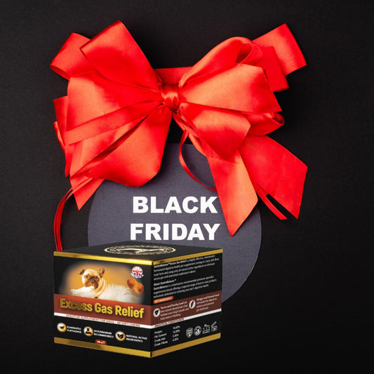 Silent but Deadly: The Truth About Dog Flatulence