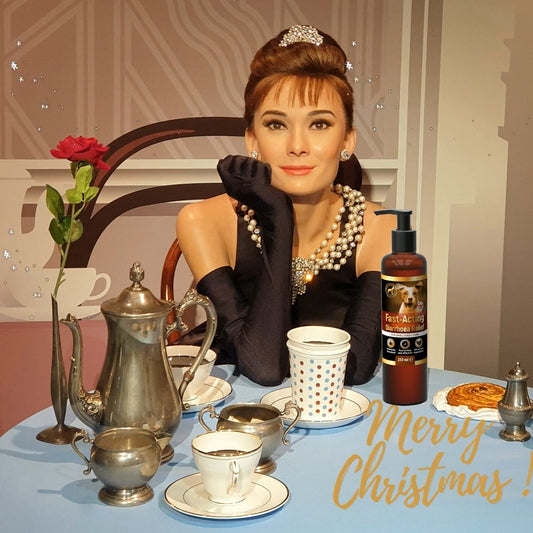 Merry Christmas to you and your lovely dog !