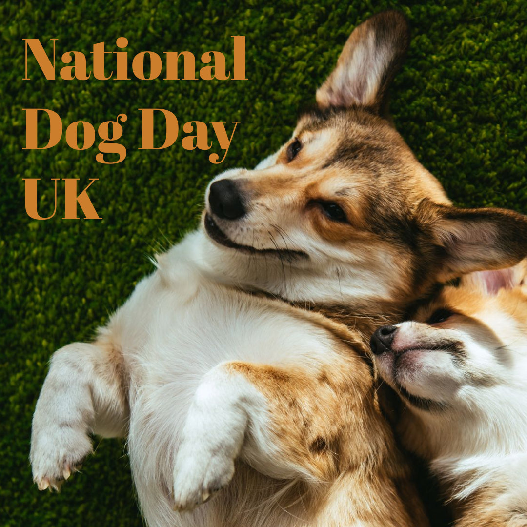 Happy National Dog Day UK 2026 !