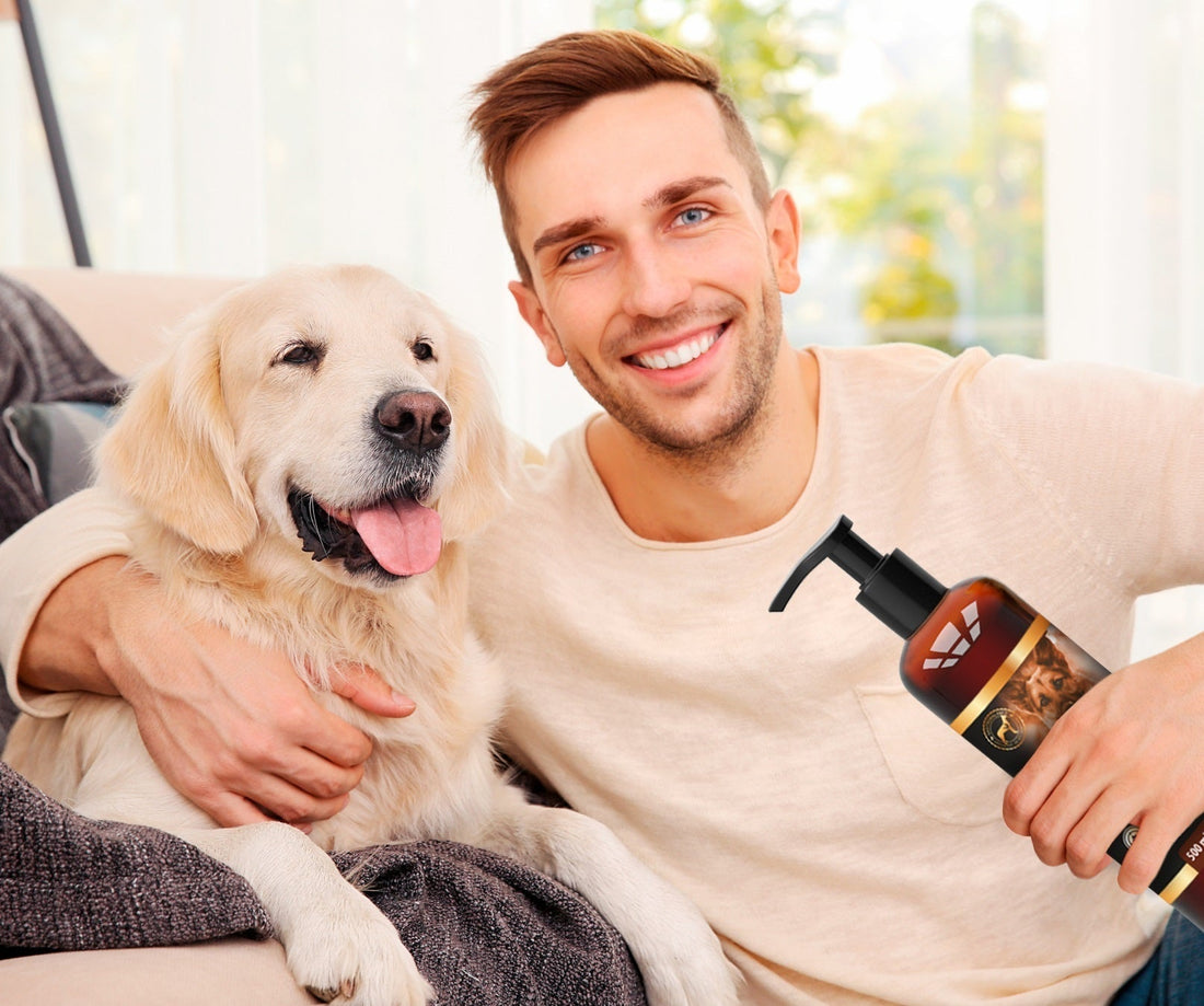 Summer Diarrhea in Dogs: What Every Pet Parent Should Know