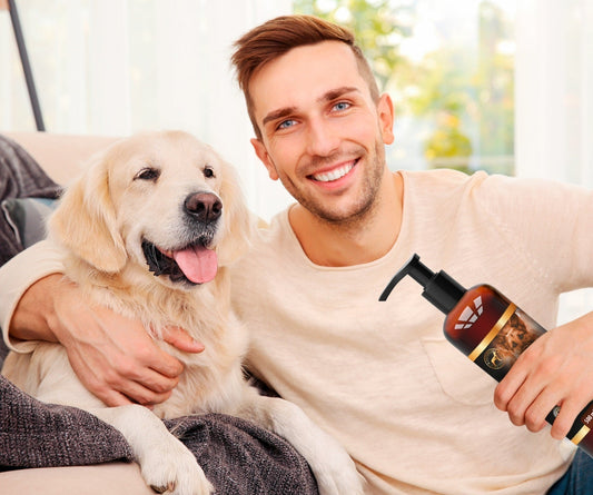 Summer Diarrhea in Dogs: What Every Pet Parent Should Know