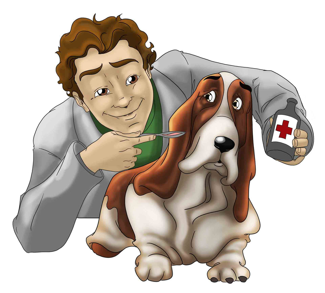 Why Older Dogs Are More Susceptible to Anal Gland Issues