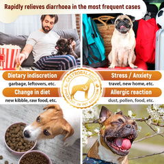 GastroBalance Diarrhoea Relief For Small Dogs