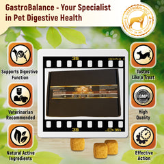 GastroBalance probiotics & prebiotics for dogs