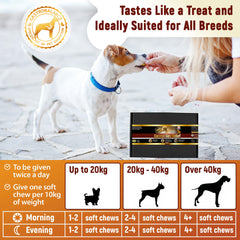 Flatulence relief for dogs natural remedy to cure dog wind farts