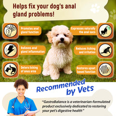 Gastrobalance gland support for dogs natural dog analgland chews