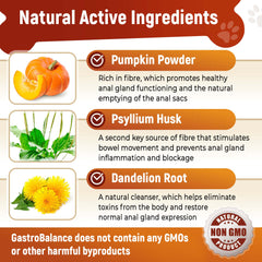Gastrobalance gland support for dogs natural dog analgland chews