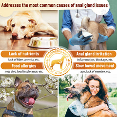 Gastrobalance gland support for dogs natural dog analgland chews