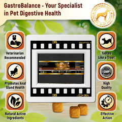 Gastrobalance gland support for dogs natural dog analgland chews