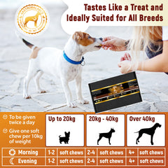 Gastrobalance gland support for dogs natural dog analgland chews