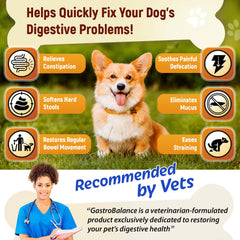 GastroBalance dog constipation treatment laxative soft chews