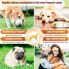 GastroBalance dog constipation treatment laxative soft chews
