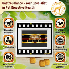 Flatulence relief for dogs natural remedy to cure dog wind farts