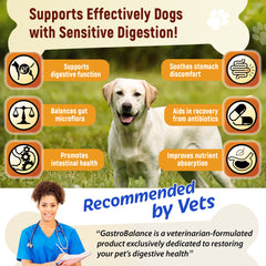 GastroBalance probiotics & prebiotics for dogs