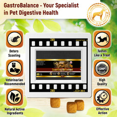 Effective dog scoot treatment Natural remedy for itching dogs