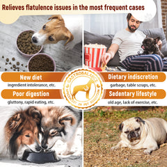 GastroBalance Excess Gas Relief For Dogs