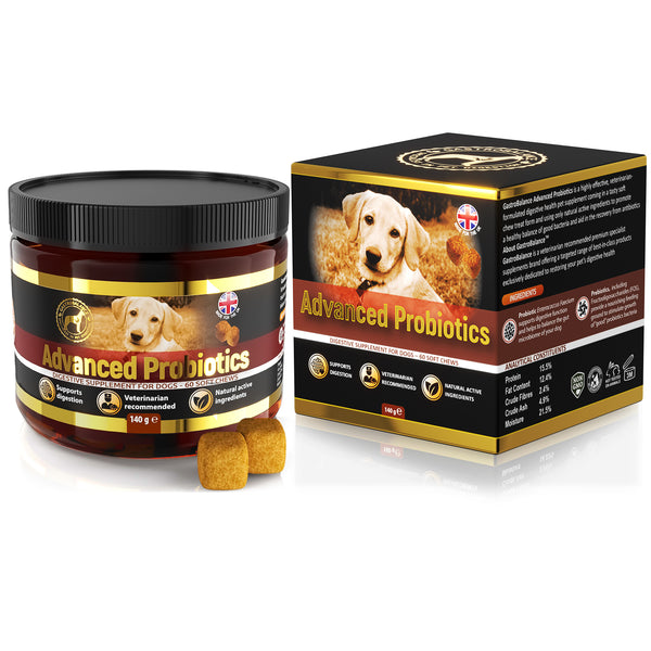 Vet dog probiotics for gut health – prebiotic dog probiotic chews
