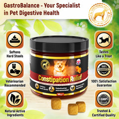 GastroBalance Constipation Relief For Dogs