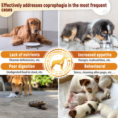 GastroBalance Coprophagia Relief For Dogs